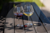 'Burgundy eat your heart out!': Devon producer, Lyme Bay Winery, is toast of wine world.