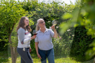 'Burgundy eat your heart out!': Devon producer, Lyme Bay Winery, is toast of wine world.