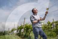 'Burgundy eat your heart out!': Devon producer, Lyme Bay Winery, is toast of wine world.