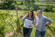 'Burgundy eat your heart out!': Devon producer, Lyme Bay Winery, is toast of wine world.