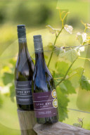 'Burgundy eat your heart out!': Devon producer, Lyme Bay Winery, is toast of wine world.