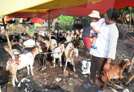 Eid Al- Adha Celebration In Kolkata, India