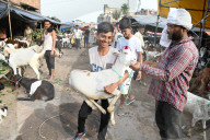 Eid Al- Adha Celebration In Kolkata, India