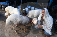 Eid Al- Adha Celebration In Kolkata, India