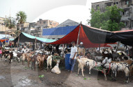 Eid Al- Adha Celebration In Kolkata, India