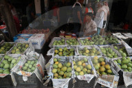 India's Economy