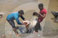 Eid Al-Adha Preparations In Kashmir