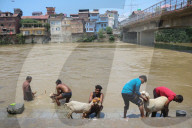 Eid Al-Adha Preparations In Kashmir