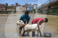 Eid Al-Adha Preparations In Kashmir