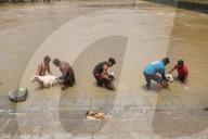 Eid Al-Adha Preparations In Kashmir