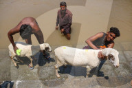 Eid Al-Adha Preparations In Kashmir