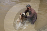 Eid Al-Adha Preparations In Kashmir
