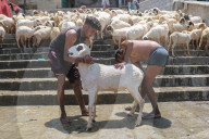Eid Al-Adha Preparations In Kashmir