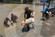Eid Al-Adha Preparations In Kashmir