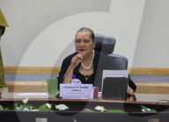INE Session For Federal Judicial Branch Voting Day