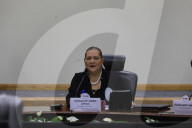INE Session For Federal Judicial Branch Voting Day