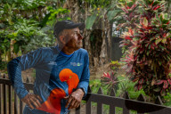 How ecotourism helped a small Colombian town Mesetas recover from war.