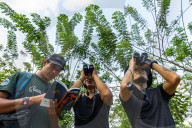 How ecotourism helped a small Colombian town Mesetas recover from war.