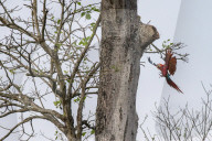 How ecotourism helped a small Colombian town Mesetas recover from war.