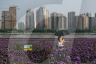 Daily Life In Shanghai 