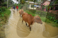 Floods In India