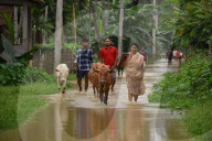 Floods In India