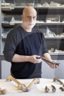 The curse of Toumai: an ancient skull, a disputed femur and a bitter feud over humanity’s origins.