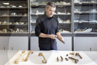 The curse of Toumai: an ancient skull, a disputed femur and a bitter feud over humanity’s origins.