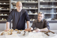 The curse of Toumai: an ancient skull, a disputed femur and a bitter feud over humanity’s origins.