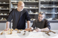 The curse of Toumai: an ancient skull, a disputed femur and a bitter feud over humanity’s origins.