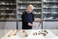 The curse of Toumai: an ancient skull, a disputed femur and a bitter feud over humanity’s origins.
