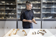The curse of Toumai: an ancient skull, a disputed femur and a bitter feud over humanityís origins.