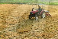 Agricultural High Yield