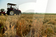 Agricultural High Yield