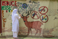 Eve Of World Environment Day In Kashmir, India
