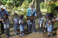 Kindergarten Students Learn About Bee And Honey In Indonesia