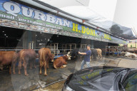 Livestock Market During Eid Al-Adha Preparation In Indonesia