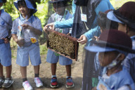Kindergarten Students Learn About Bee And Honey In Indonesia