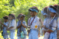 Kindergarten Students Learn About Bee And Honey In Indonesia