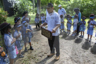 Kindergarten Students Learn About Bee And Honey In Indonesia