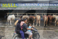 Livestock Market During Eid Al-Adha Preparation In Indonesia