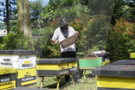 Bee Tourism Park In Jakarta, Indonesia