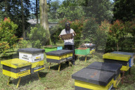Bee Tourism Park In Jakarta, Indonesia