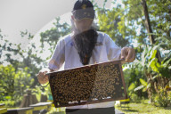 Bee Tourism Park In Jakarta, Indonesia