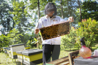 Bee Tourism Park In Jakarta, Indonesia