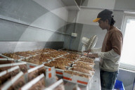 Eid Preparations In Kashmir