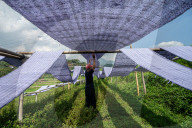 Traditional Mop Cloth Production In Bandung District, Indonesia
