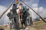 Eid Preparations In Kashmir