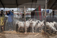 Eid Preparations In Kashmir