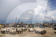 Eid Preparations In Kashmir